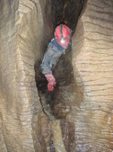Enlarge photo 47