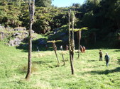Enlarge photo 53