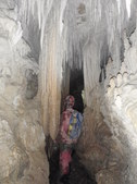 Enlarge photo 55