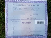 Enlarge photo 35