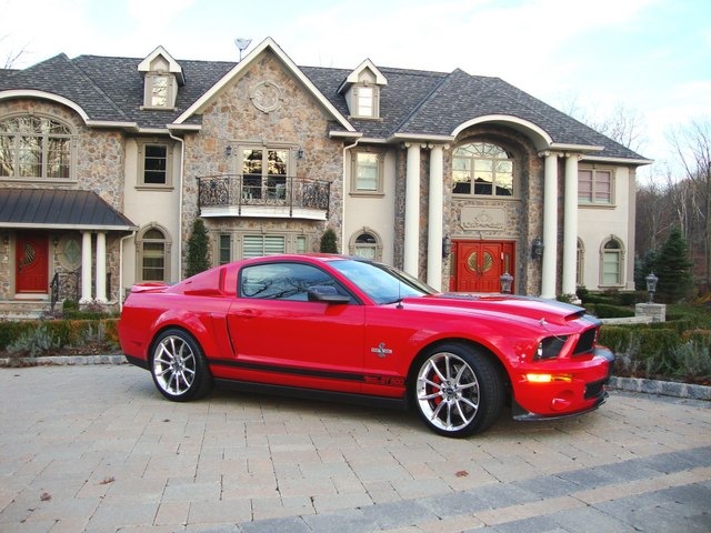 Super Snake Shelby