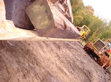 Enlarge photo 126