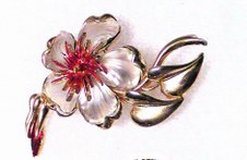 JEWELRY COLLECTION & JEWEL COLLECT