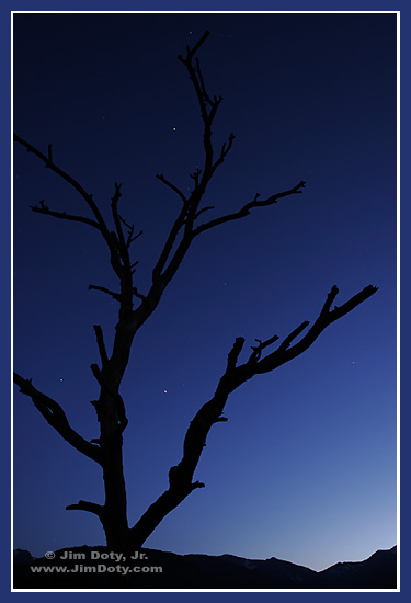 Night, Moraine Park, Rocky Mountain National Park