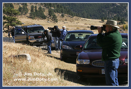 Photographers filming elk, Rocky Mountain National Park, Colorado