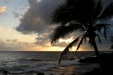 Tahiti 4