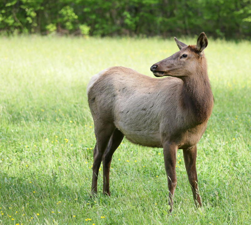 Return to Album