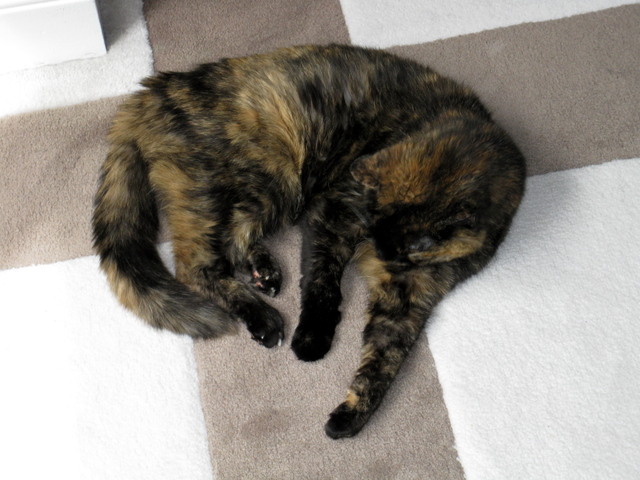 Return to Album
