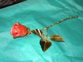 Enlarge photo 20