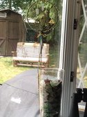 Enlarge photo 1