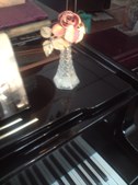 Enlarge photo 14