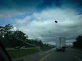 Enlarge photo 86