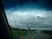 Enlarge photo 87