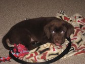 Enlarge photo 736