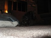 Enlarge photo 671