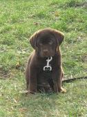 Enlarge photo 657