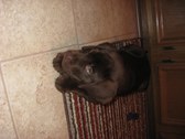 Enlarge photo 565