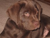 Enlarge photo 501