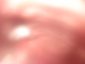 Enlarge photo 420