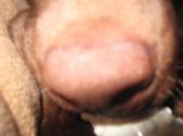 Enlarge photo 404