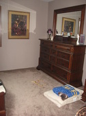 Enlarge photo 303