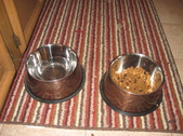 Enlarge photo 251