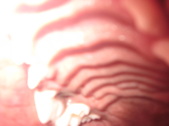 Enlarge photo 228