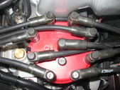 Enlarge photo 216