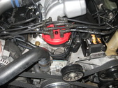 Enlarge photo 215