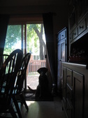 Enlarge photo 193