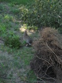 Enlarge photo 189