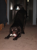 Enlarge photo 159