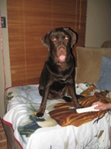 Enlarge photo 158