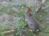 Enlarge photo 140