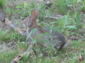 Enlarge photo 139