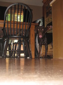 Enlarge photo 59