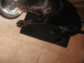Enlarge photo 57