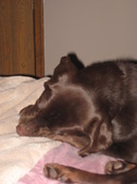 Enlarge photo 49