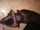 Enlarge photo 27