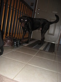 Enlarge photo 23