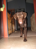 Enlarge photo 22