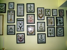 <b>My Display Wall<b/>