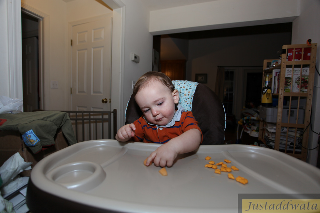 IMAGE: http://photos.imageevent.com/justaddwata/photography/comp5d7d/huge/JAW%20004%20IMG_1059.jpg