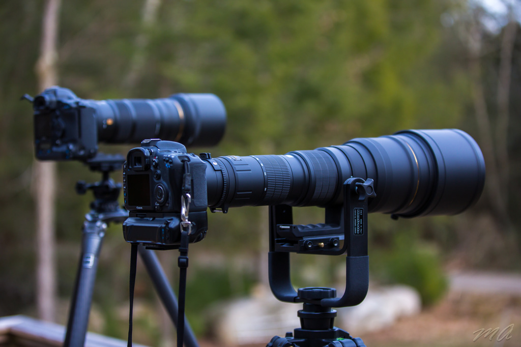 IMAGE: http://photos.imageevent.com/justaddwata/photography/gear/huge/Matts%201069%20-%20223.April%2004_%202013.jpg