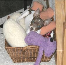 Enlarge photo 101