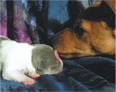 Enlarge photo 36