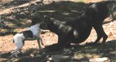 Enlarge photo 156