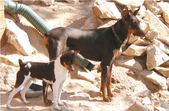 Enlarge photo 158