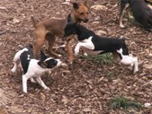 Enlarge photo 21