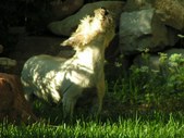Enlarge photo 65